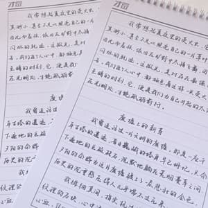 静山随笔体手写体行楷适合大学生行楷书法练字硬笔书法字帖